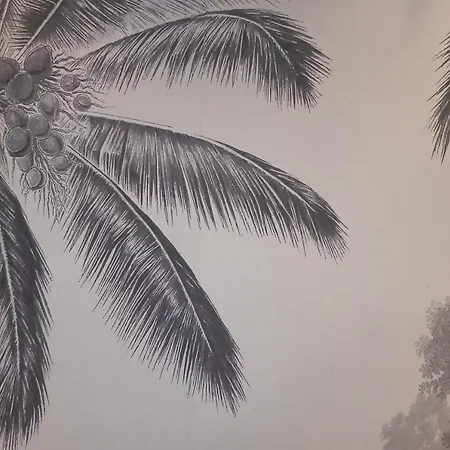 Apartment The Dream Saint-Laurent-du-Var